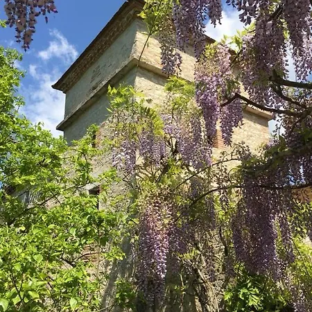 Bed & Breakfast Les Caz'elles Cahors